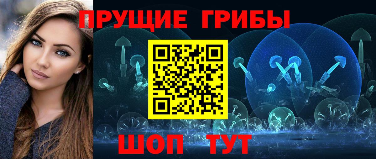Прокопьевск  Галлюциногенные грибы GOLDEN TEACHER  как найти   Вход с VPN  Псилоцибиновые грибы Psilocybine cubensis 