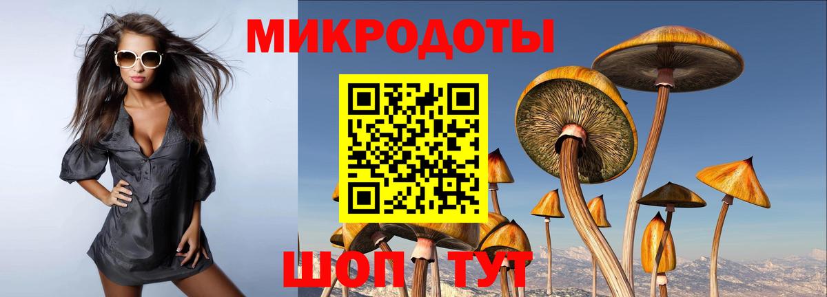 Галлюциногенные грибы Psilocybine cubensis Прокопьевск